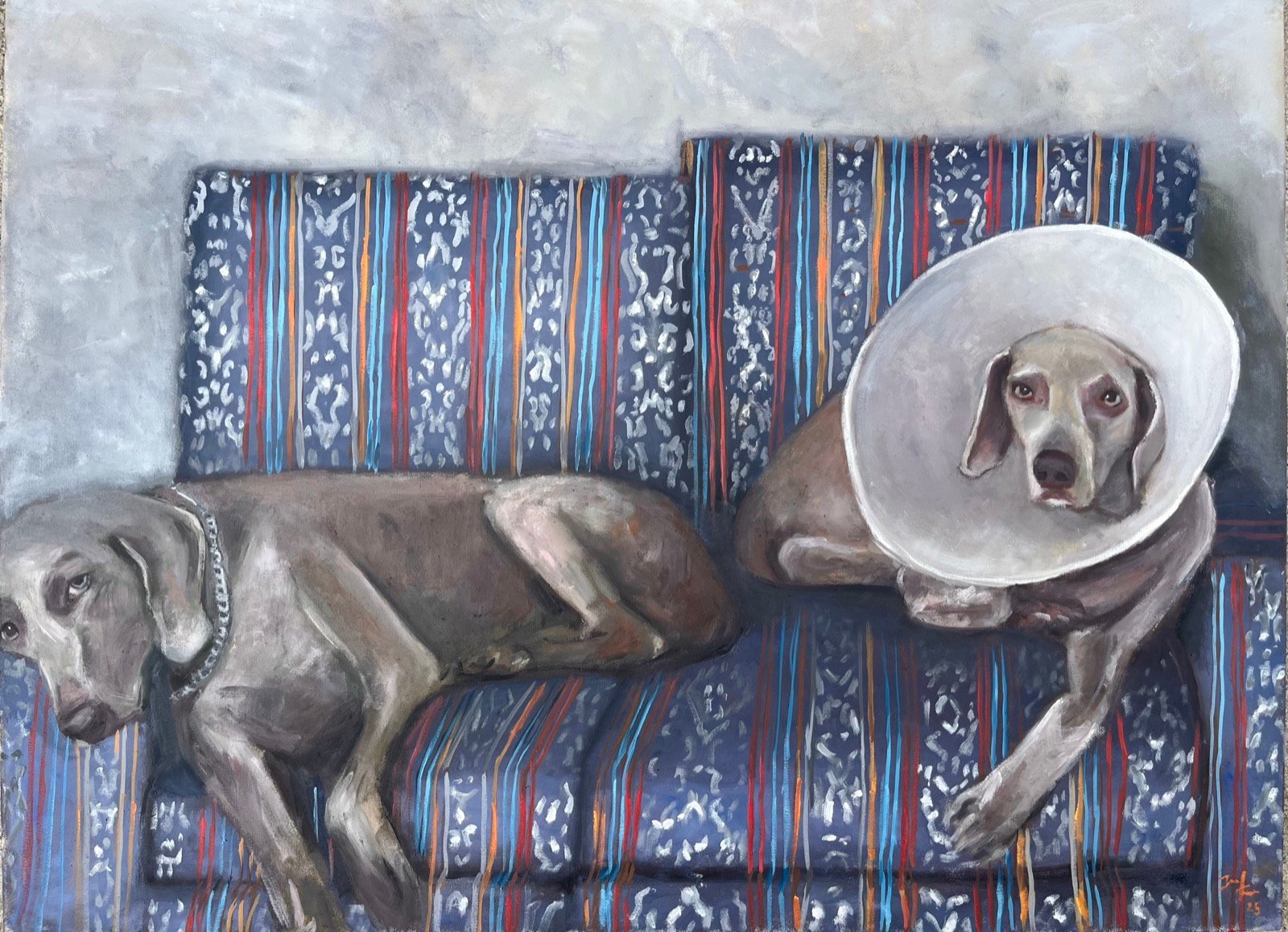 Two grey weimaraners lying on a blue couch patterned with red, orange and white stripes; the dog on the right wears a plastic recovery cone